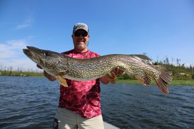 Saskatchewan Trophy Pike – Everything you need to know about hooking a