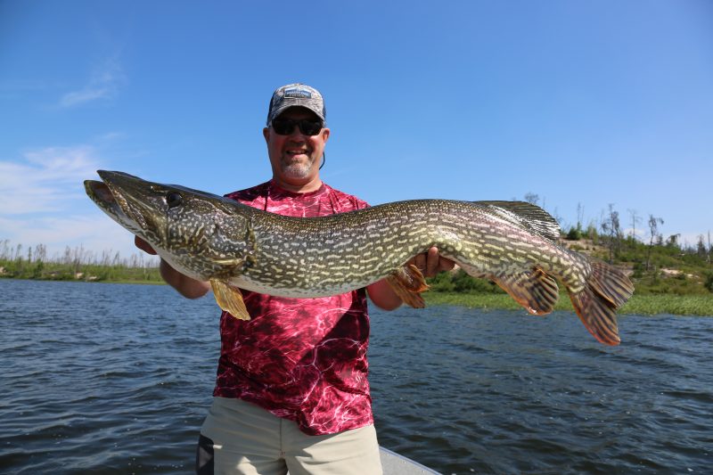 Saskatchewan Trophy pike 3