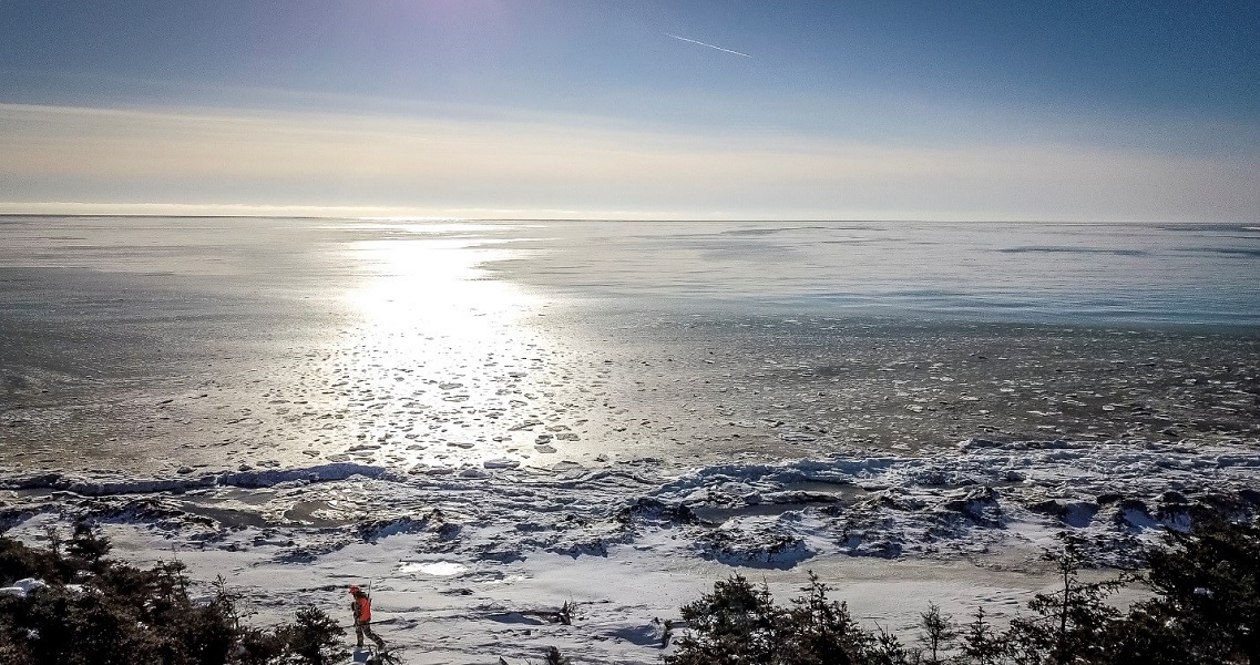 Anticosti Island Whitetail