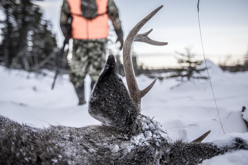 Anticosti Island Whitetail Hunting