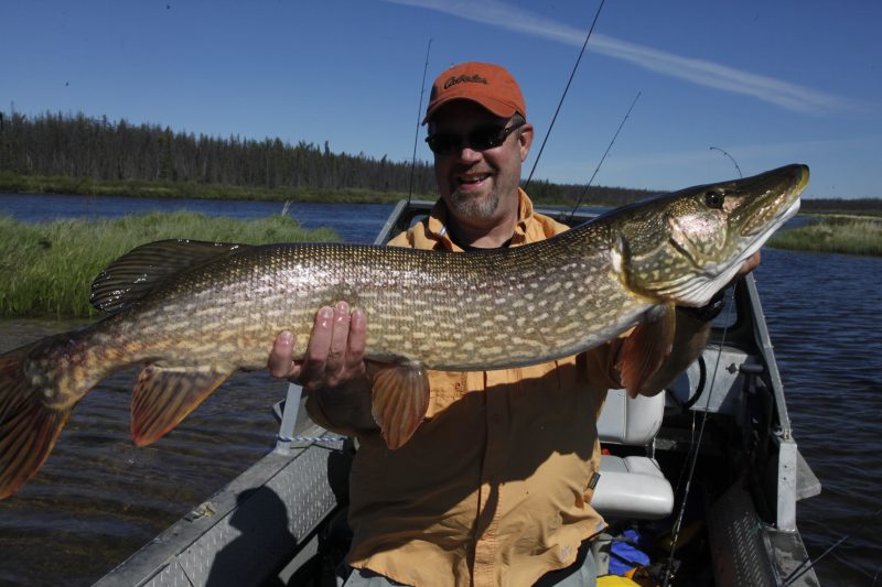 Saskatchewan Trophy pike 5