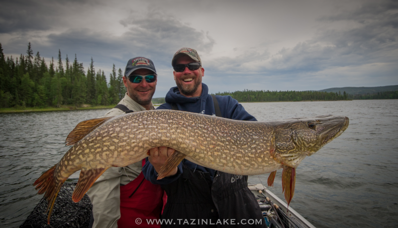 Catching Lake Trout and Pike on the Fly in Northern Saskatchenwan — TCO Fly  Shop