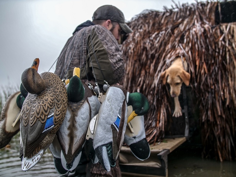 Waterfowl Decoy Carving Flambeau Gunning Series