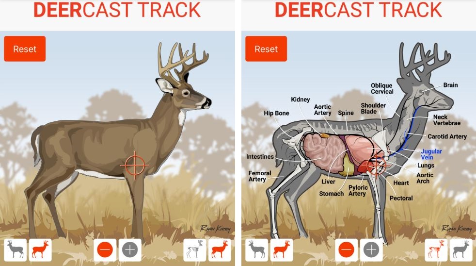 DeerCast Track