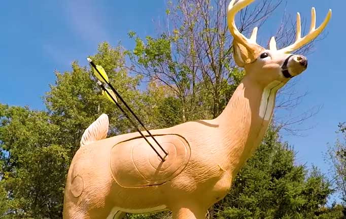 Mathews Vertix Accuracy