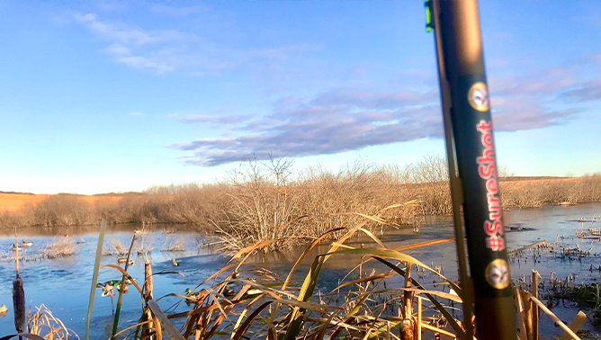 Blue Skies and Ducks