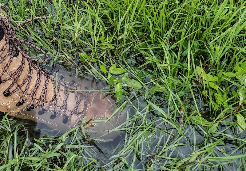 steven rinella hiking boots