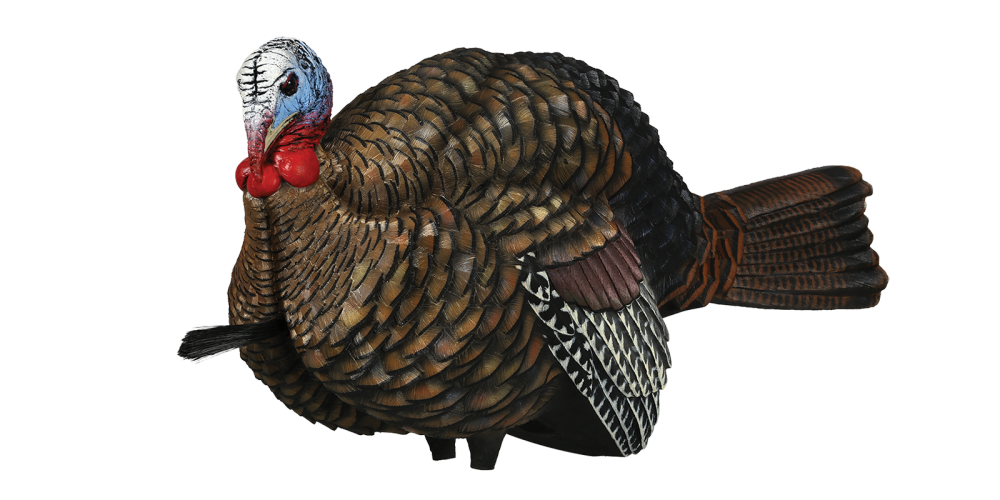 12 Best Turkey Decoy Position Png Backpacker News 5430