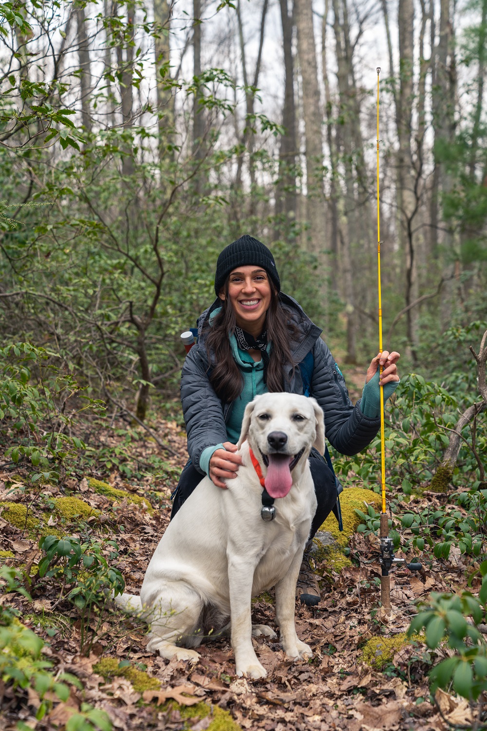 Brook Trout Fishing