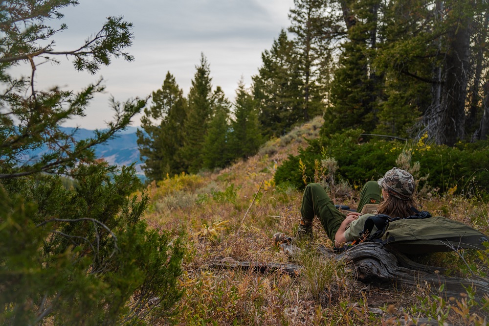 Roof Tent Hunting