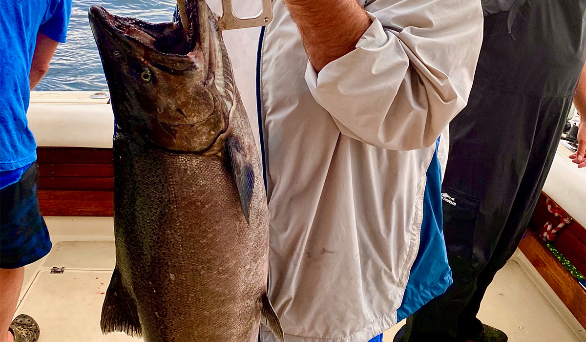 Rigging Dipsey Divers for Trout and Salmon For Lake Ontario Fishing