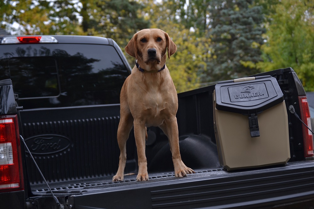 Dog Food Storage Bin | Gunner Food Crate | Gunner 50 / Gunmetal