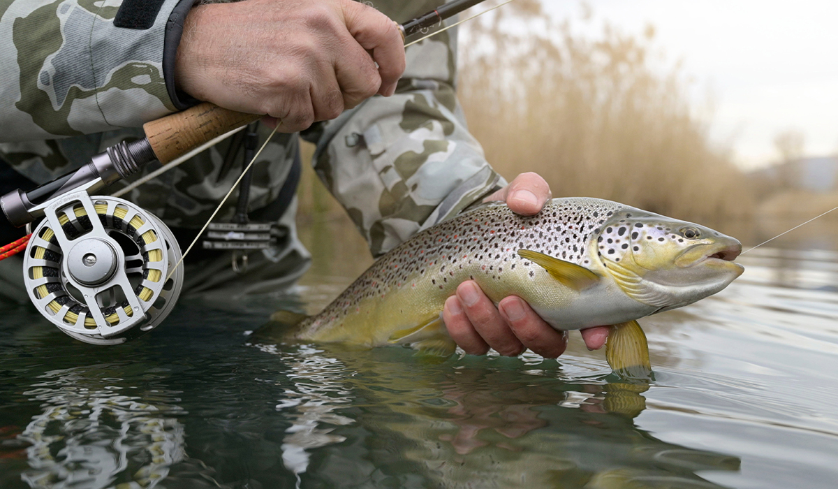 https://cdn.outdoorhub.com/wp-content/uploads/sites/2/2021/06/troutfly.jpg