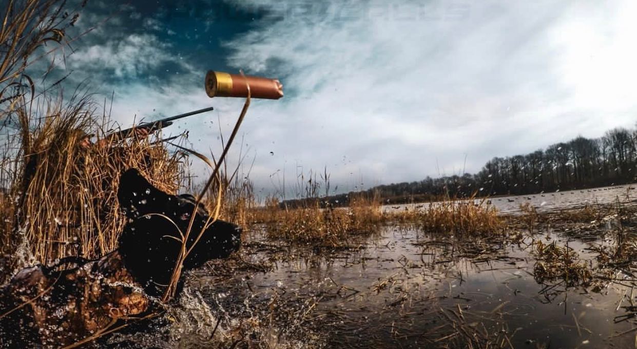 New HEVI-XII Tungsten Waterfowl Loads from HEVI-Shot