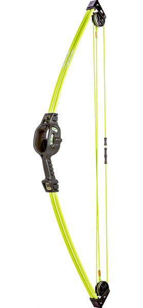 bear archery youth bow