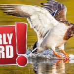 Related Thumbnail Early Bird Sales For Outdoor Enthusiasts