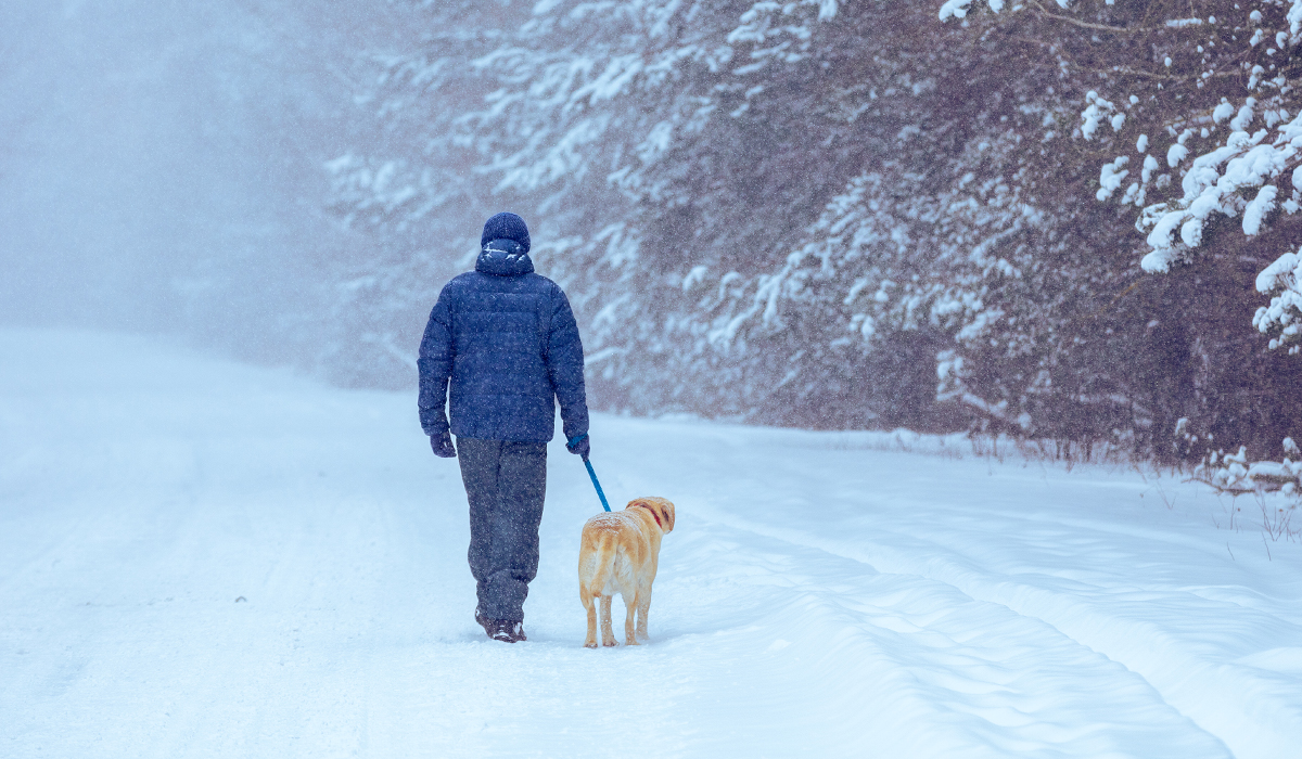 Cold Weather Gear - Mens