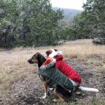 Related Thumbnail The Best Outdoor Gear for your Favorite Dog