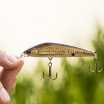 Related Thumbnail Bassmaster Gear: The Top 5 Baits for Bass Fishing (Artificial)