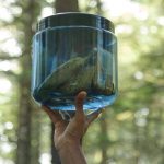 Related Thumbnail Bear Necessities: The Best Bear Proof Containers for Backpacking