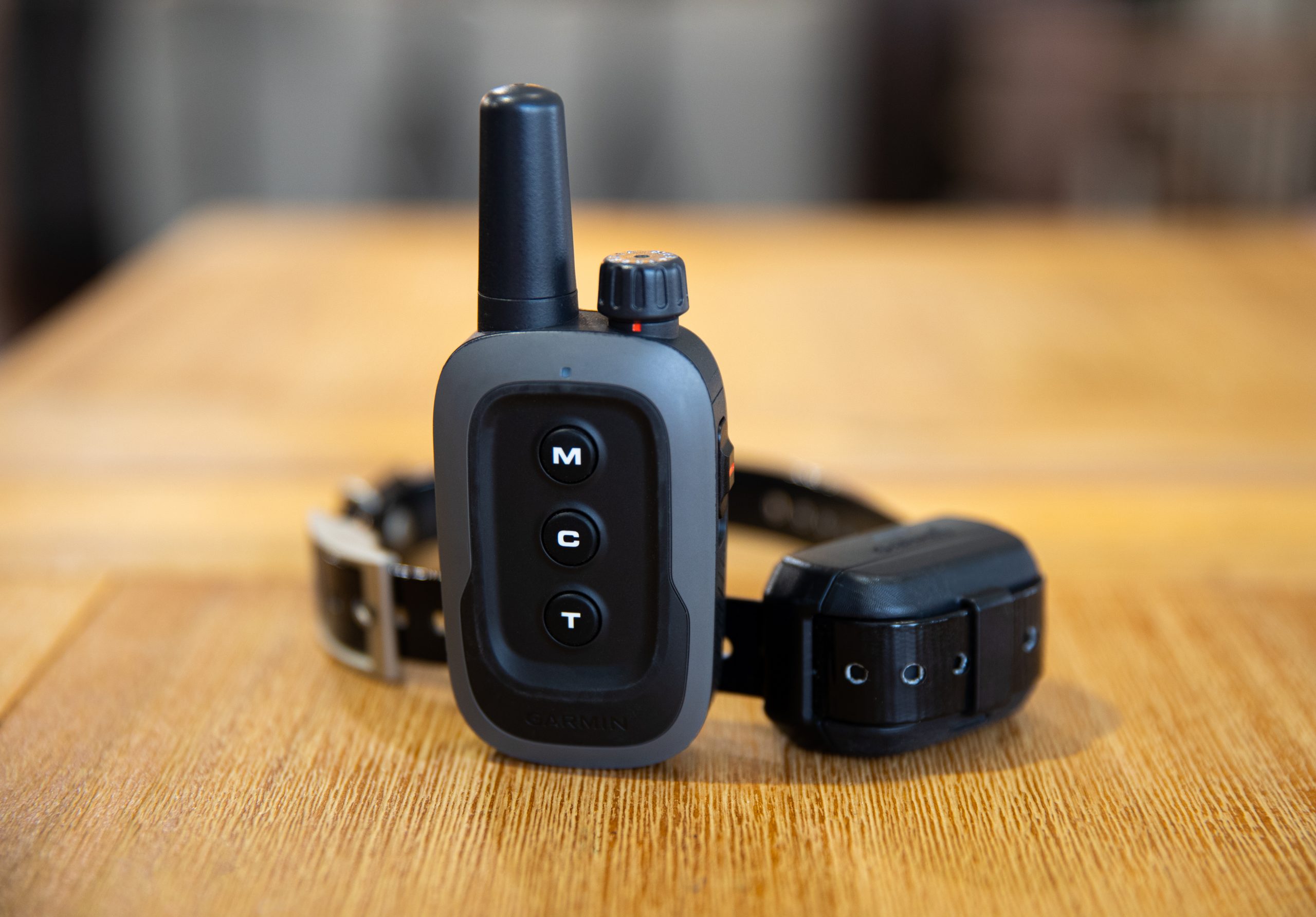 Optimize Your Dog Training with the NEW Garmin Delta SE 