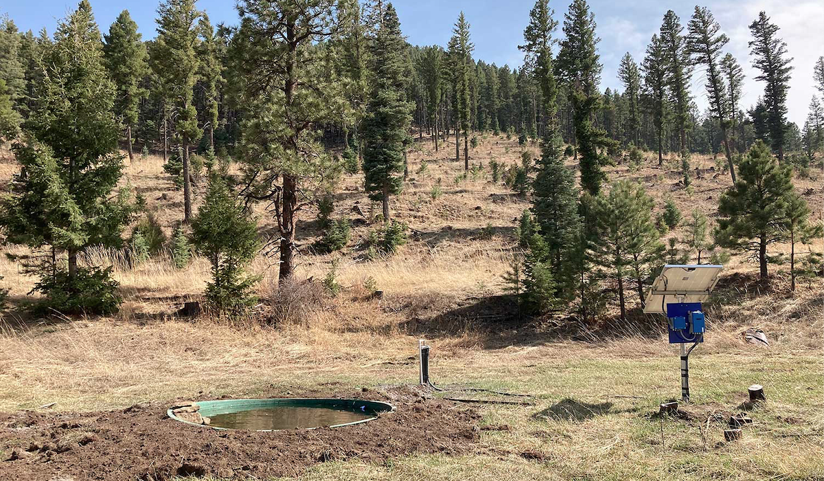 Colorado Elk Habitats