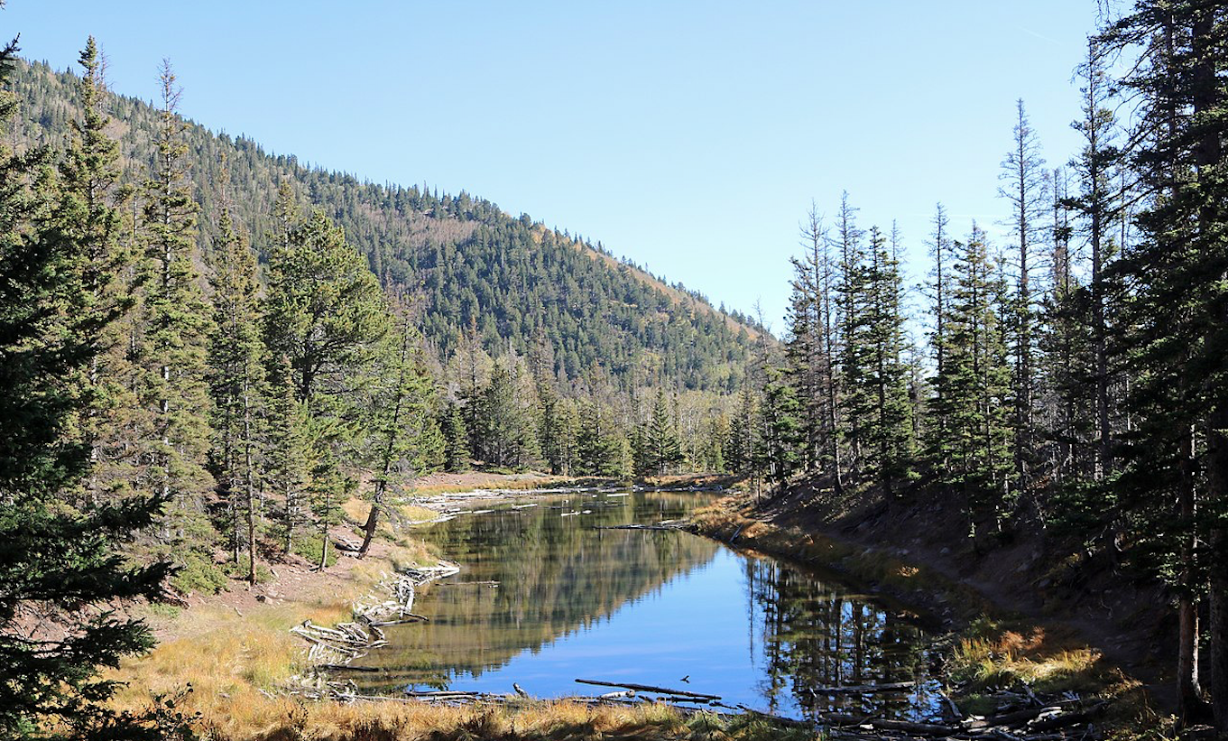 Colorado Elk Habitats