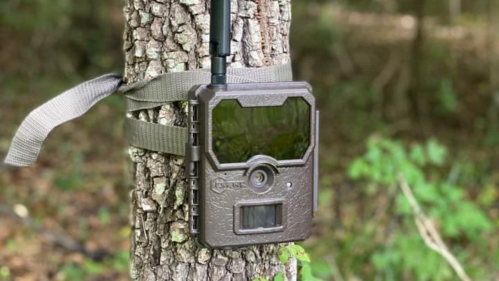 The WC20 Wireless Scouting Camera from Covert Scouting Cameras