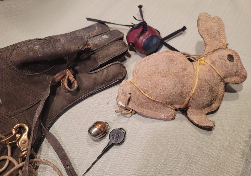 Falconry Necessities: glove, jesses, hood, lure, bell, and transmitter. 