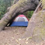 Related Thumbnail OHUB Holiday Gift Guide: All-Season Camping Gear for the Avid Adventurer