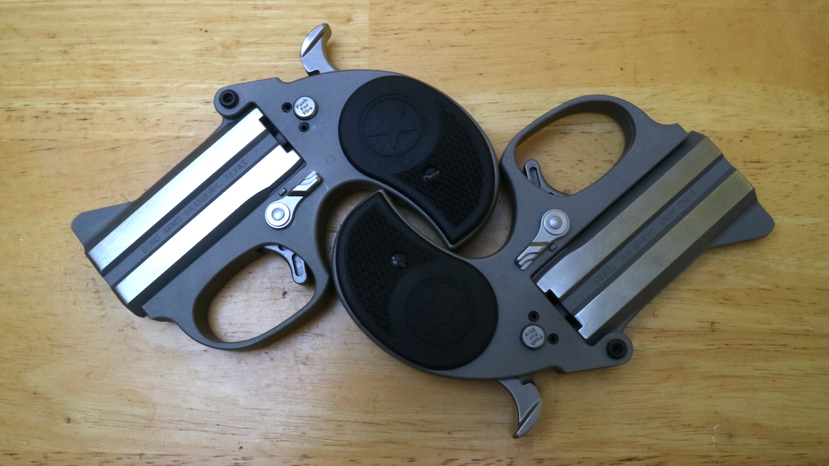OutdoorHub Review: The Bond Arms Stinger RS Twin Stingers