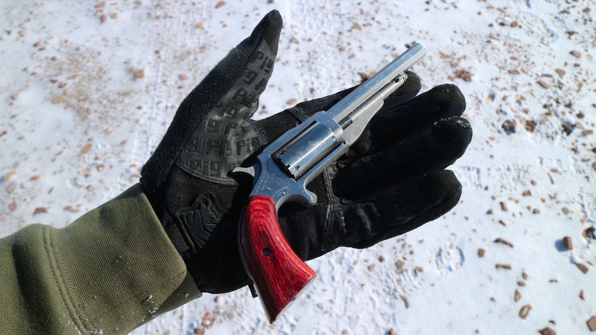OutdoorHub Review: The Earl From North American Arms