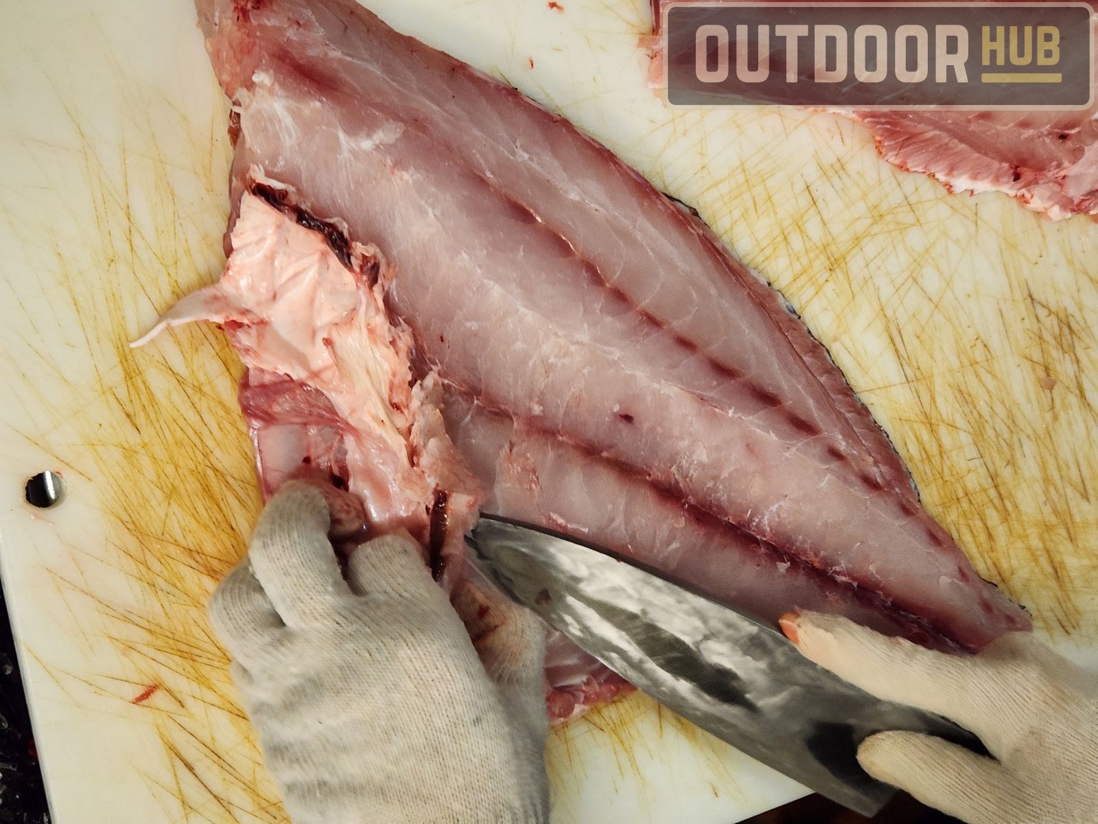 Breaking It Down: Filleting a Red Snapper