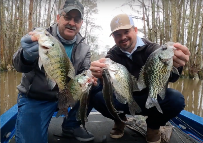 Crappie catch at the end of the day