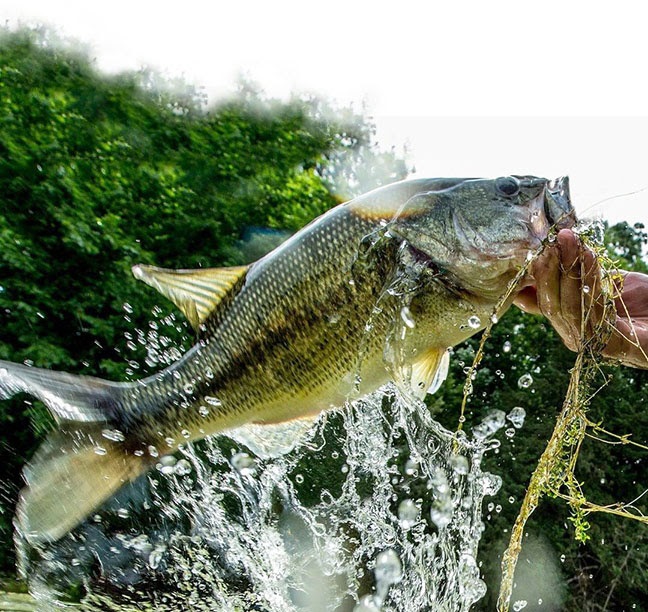 New Weedless Wacky Jig from Northland Fishing Tackle