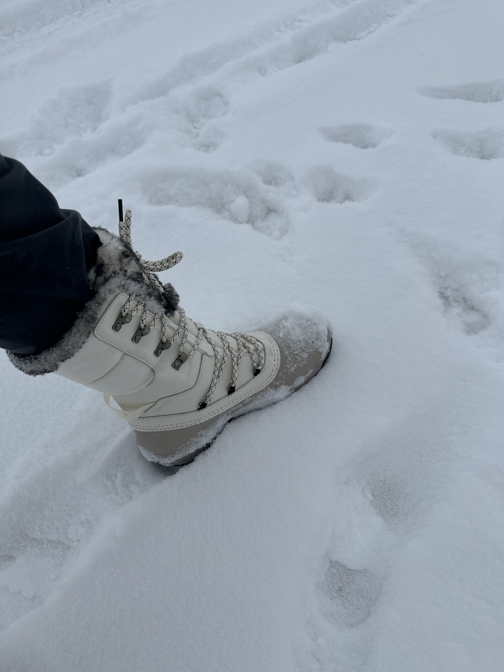 Great Boots for Far North Winters – THE NORTH FACE Women’s Shellista IV | OutdoorHub