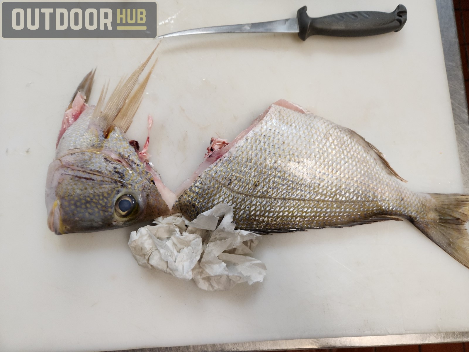 Breaking it Down: Knobbed Porgy (Chinese Steamed Fish