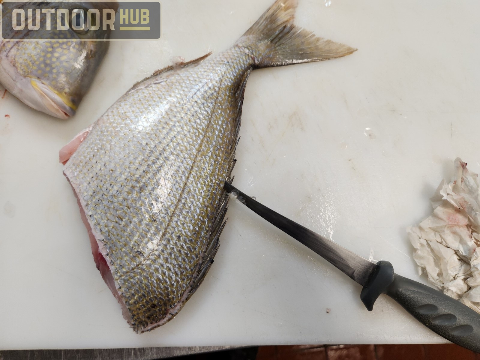 Breaking it Down: Knobbed Porgy (Chinese Steamed Fish