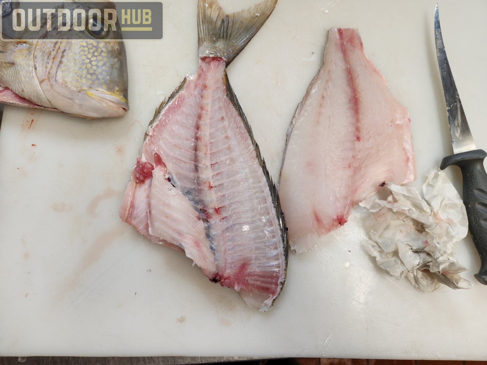 Breaking it Down: Knobbed Porgy (Chinese Steamed Fish