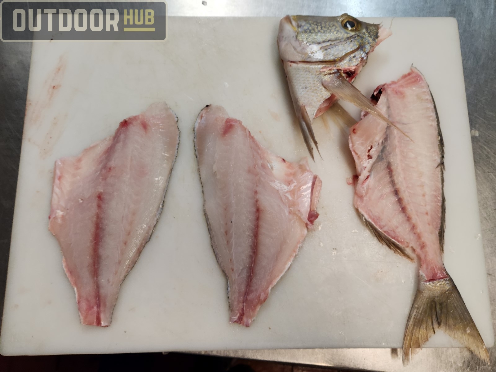 Breaking it Down: Knobbed Porgy (Chinese Steamed Fish