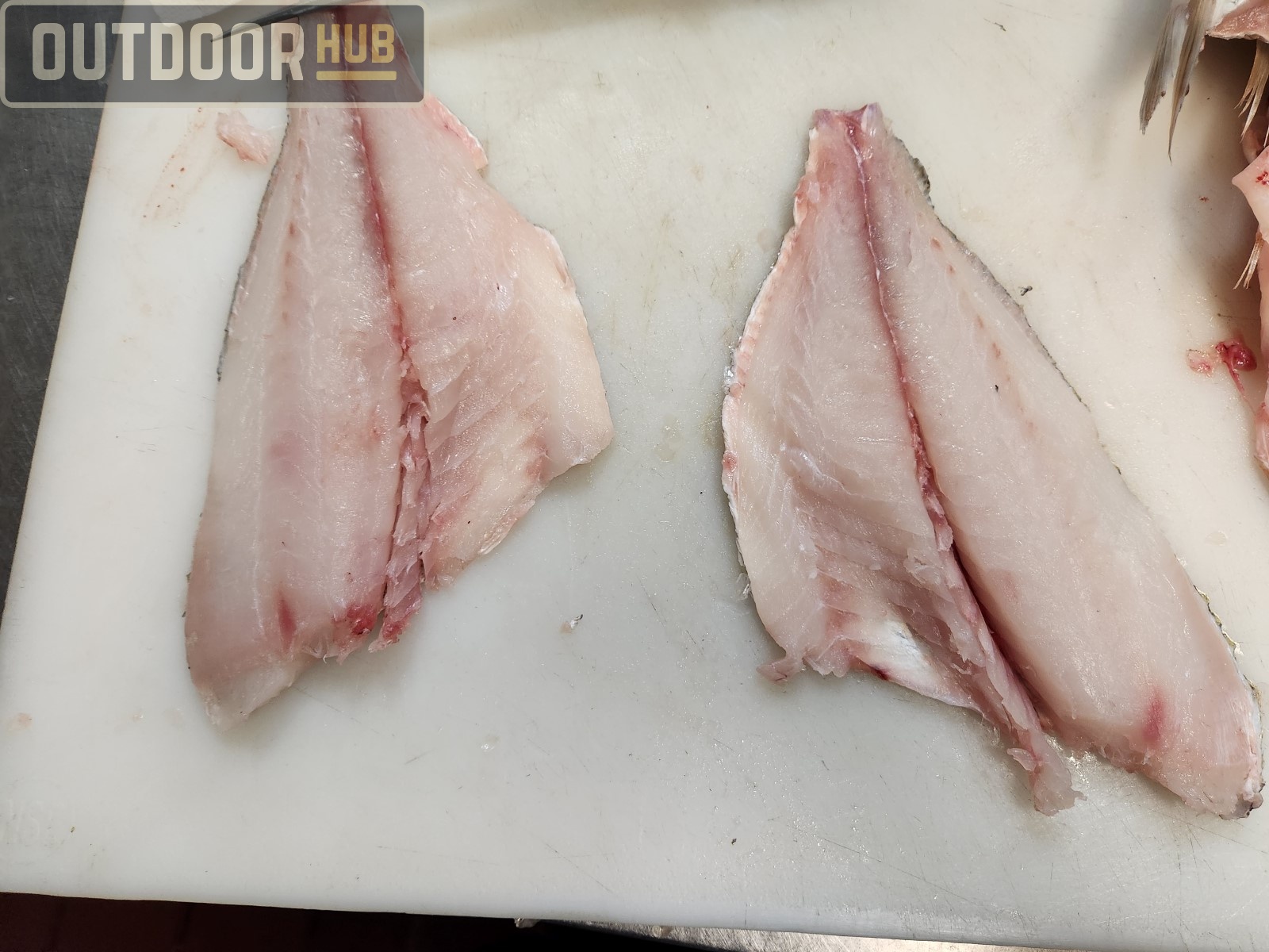Breaking it Down: Knobbed Porgy (Chinese Steamed Fish