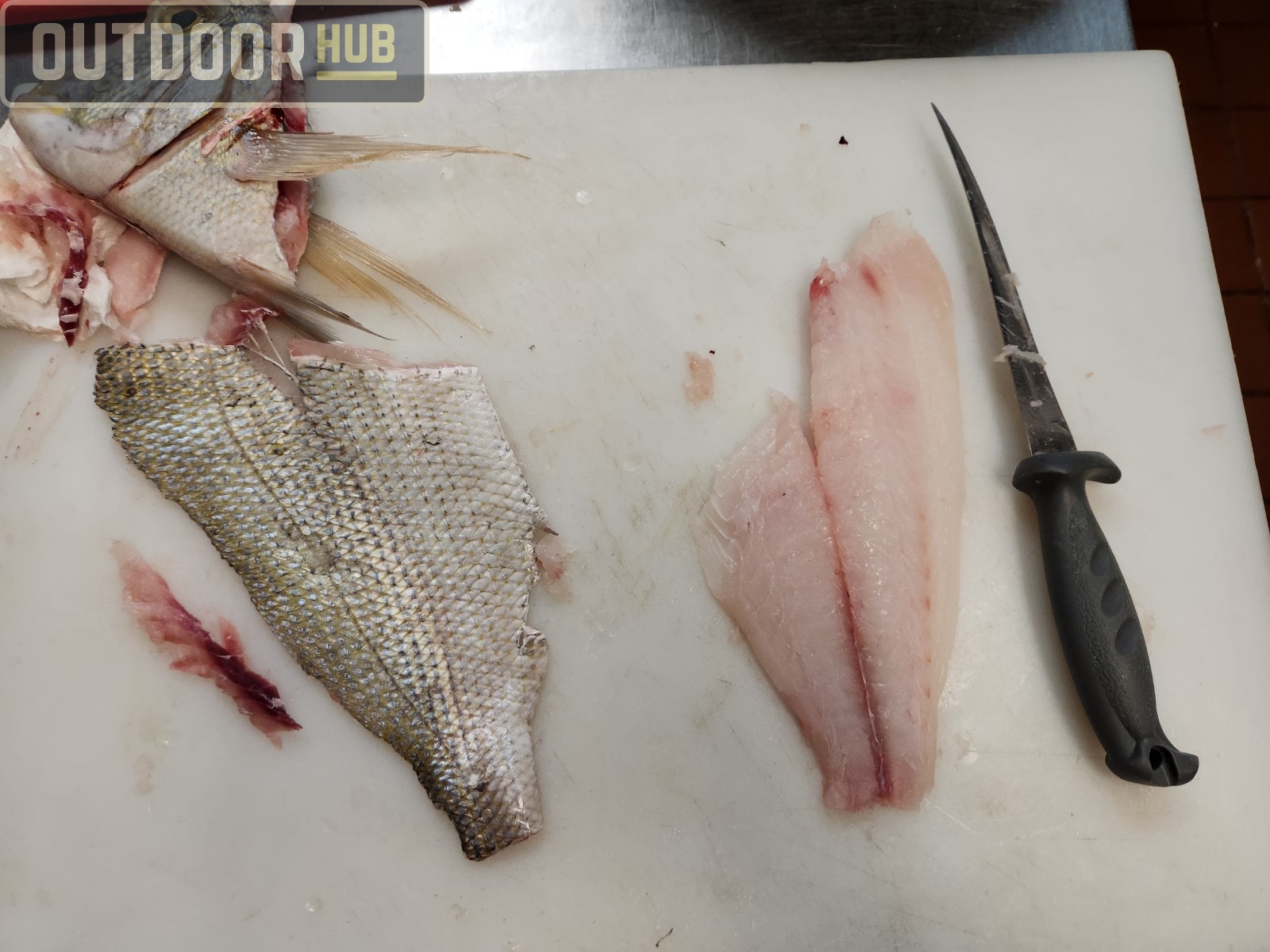 Breaking it Down: Knobbed Porgy (Chinese Steamed Fish