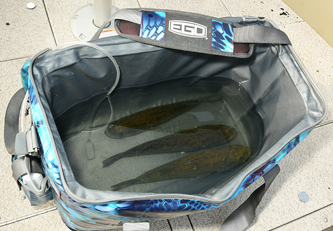 EGO’s Fish & Weigh-In Cooler Bag goes Triple Time