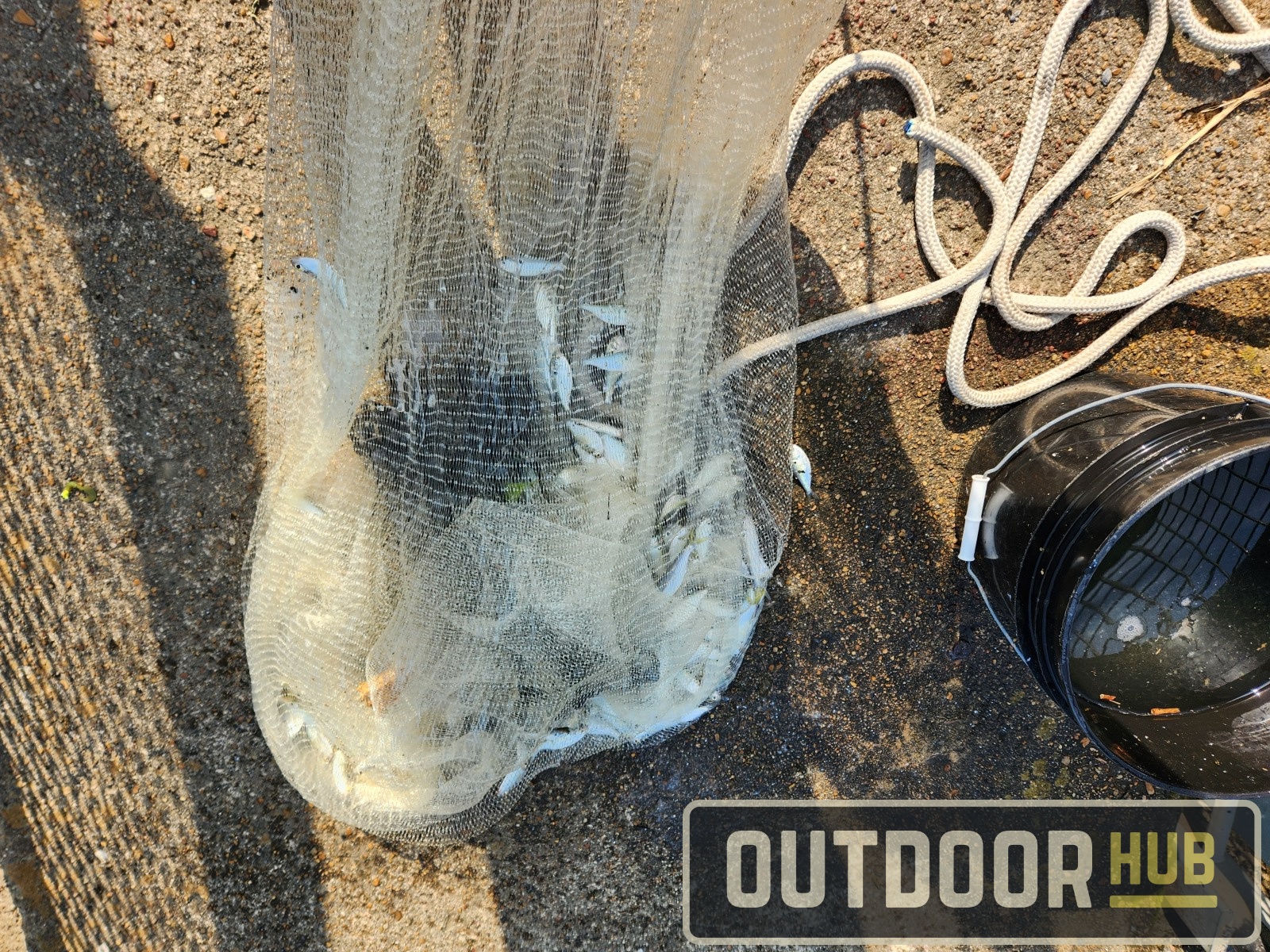 How to Care For and Condition Your Cast Net