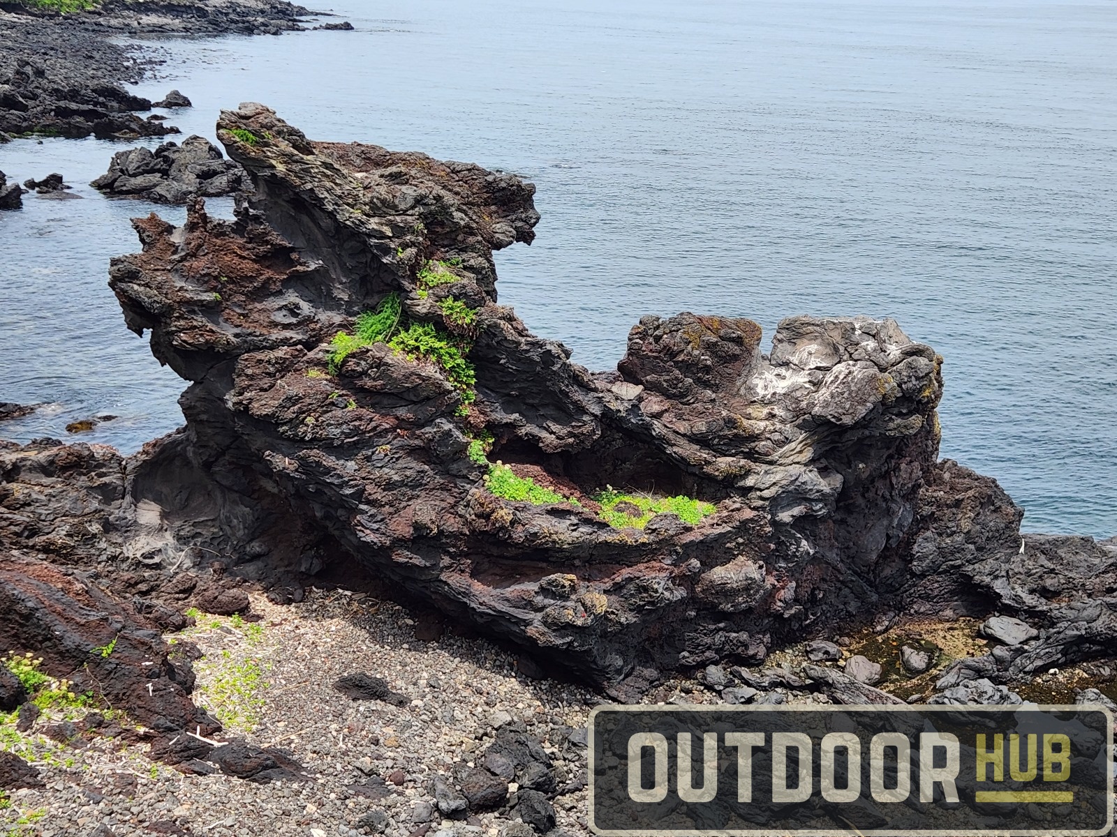 Traveling South Korea - Shore Fishing Jeju Island