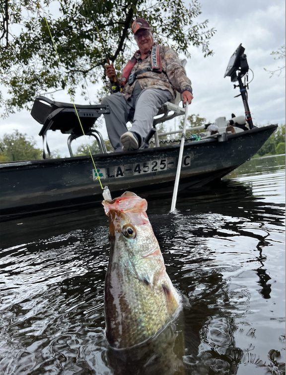 Sinking Brush Piles for Crappie OutdoorHub