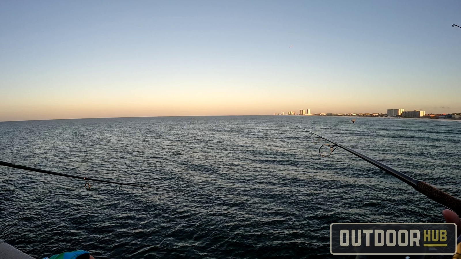 Fishing the Panama City Beach County Pier in October - Part 2
