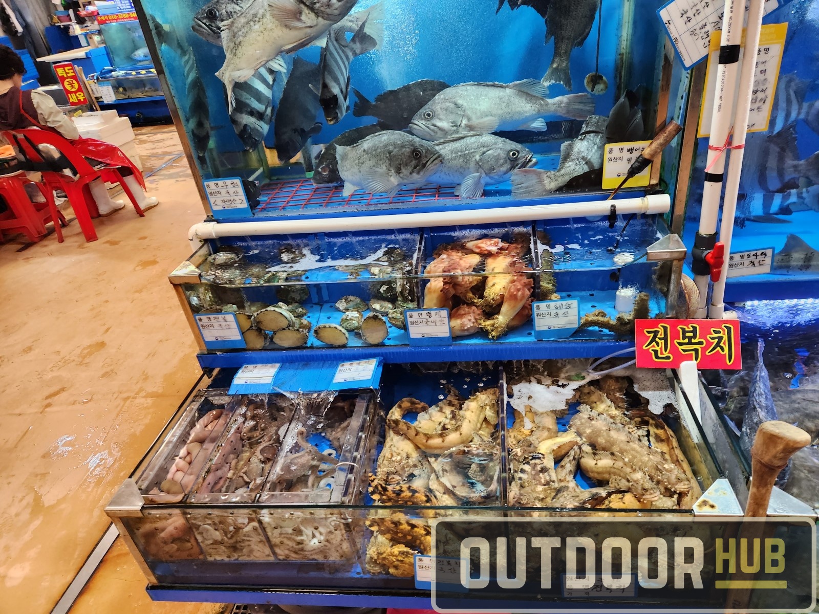 Traveling South Korea – Seoul & Noryangjin Fish Market