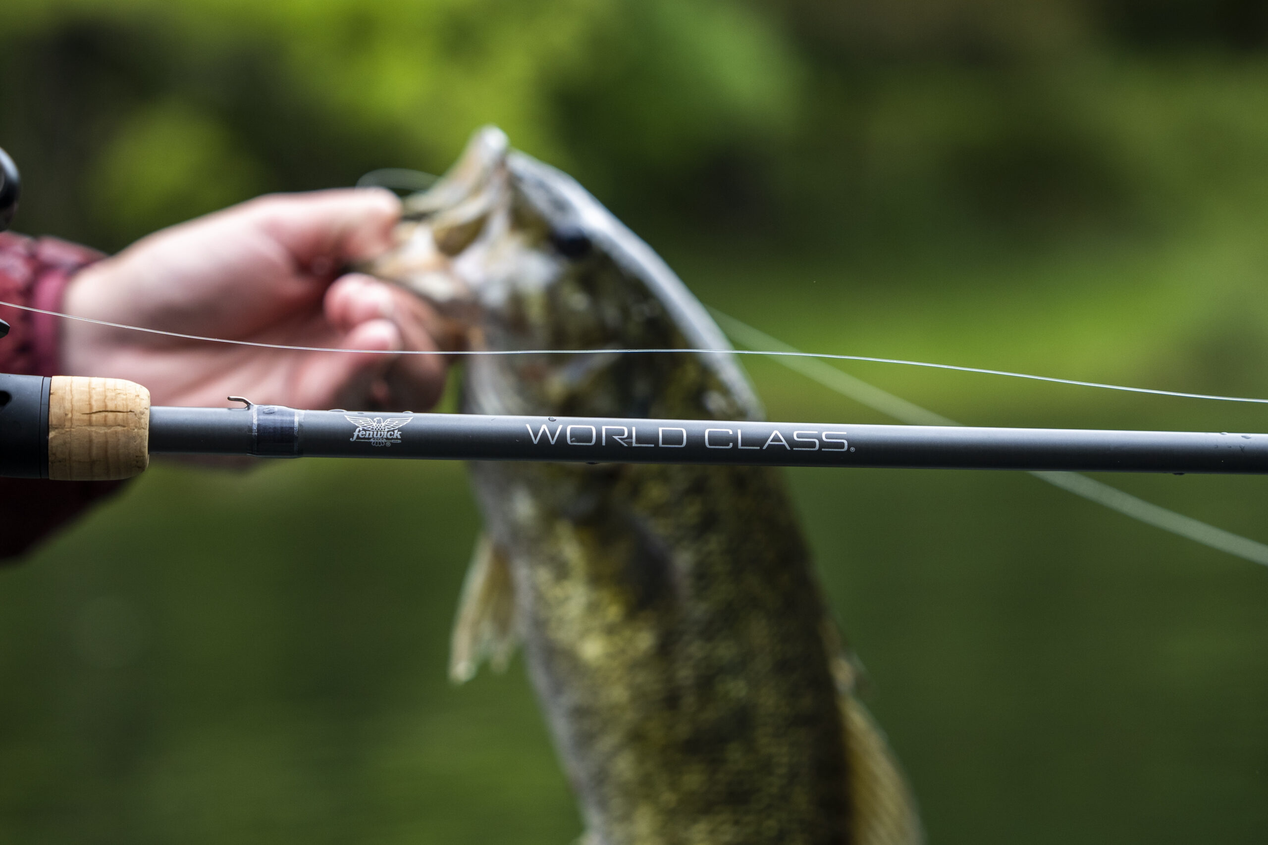 Fenwick Elite Tech Walleye Series Rods - Fishing Rod Review 
