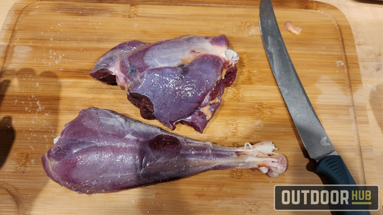 Catch & Cook – Wild Turkey Leg Birria